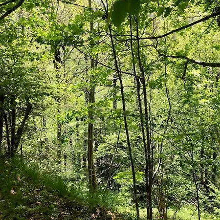 La Petite Maison Nature מלון Saint-Jacques-des-Blats