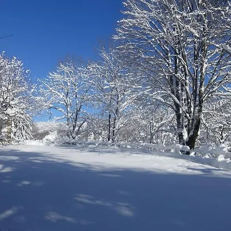 La Petite Maison Nature *